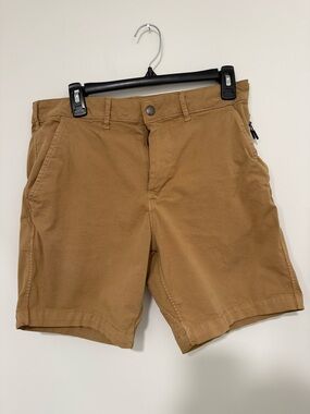 American Eagle Outfitters Men's Flat Front Chino Shorts - Brown